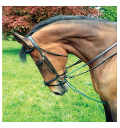 Průvlečné otěže