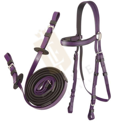 Race bridle with reins