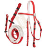 Race bridle with reins