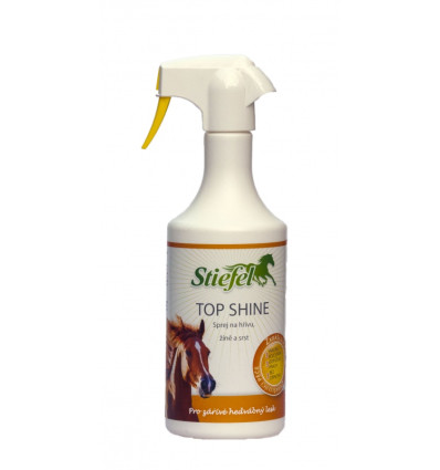 Top shine 2,5L