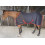 Breeze Up Summer Sheet