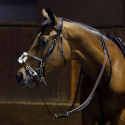 Bridles And Its Parts