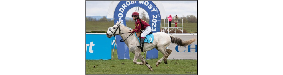 CARRERAS DE PONIS