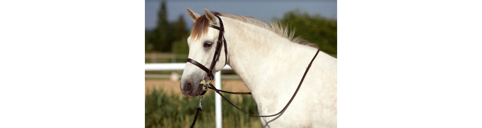 Pony uzdečky a příslušenství